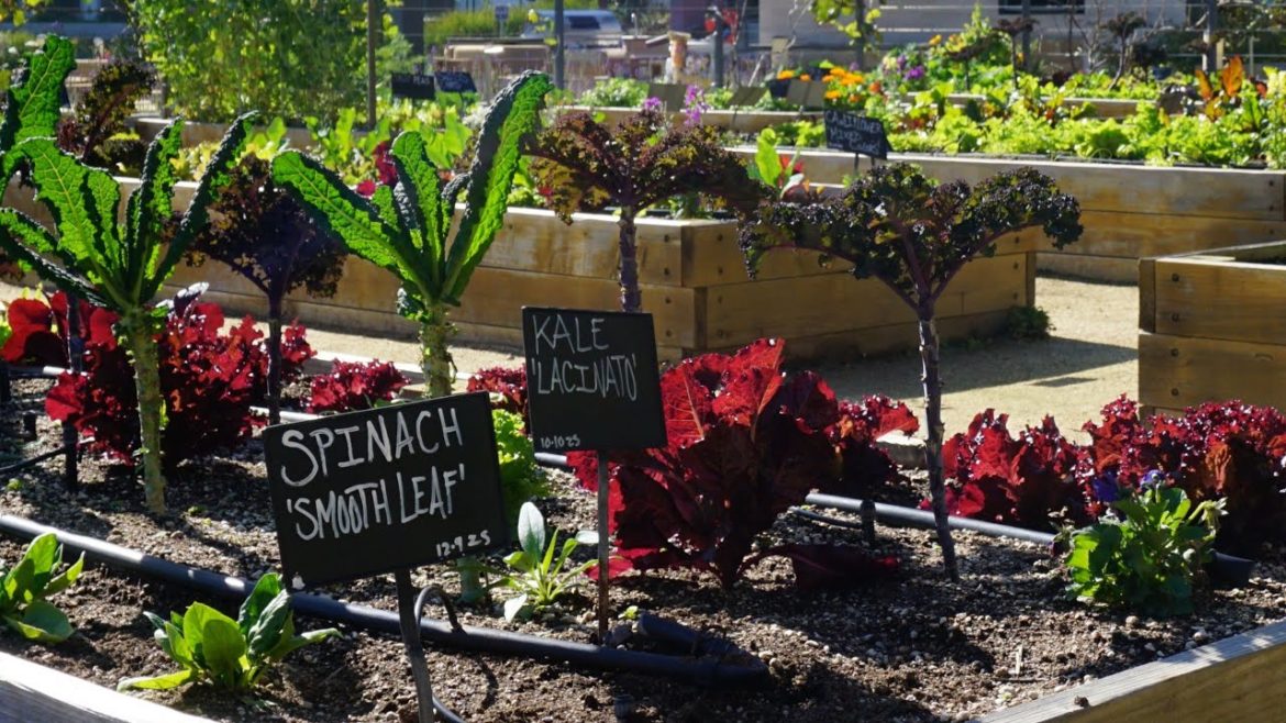Edible Gardening by California Farm and Garden Edible Gardening by California Farm and Garden