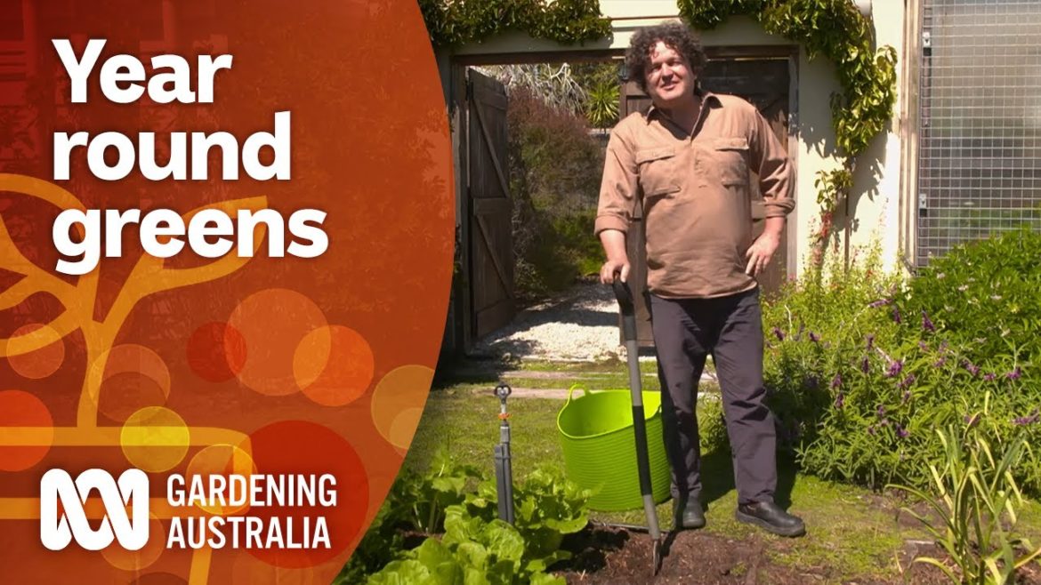 Tips for keeping your green vegetables growing all year round | Gardening 101 | Gardening Australia Tips for keeping your green vegetables growing all year round | Gardening 101 | Gardening Australia