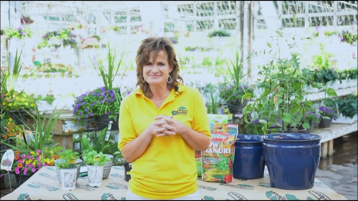 Virtual Seminar: Edible Gardening Tips ENGLISH GARDENS