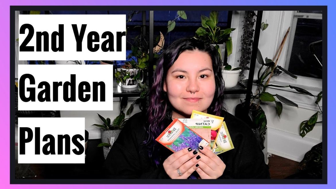 Second Year Garden Plans