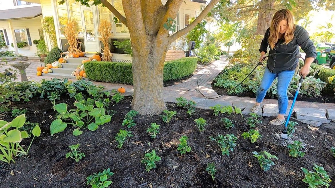 Garden Answer: Planting Simple Fall Containers & Ton of Hellebores! 💚🧡💚 // Garden Answer Planting Simple Fall Containers & Ton of Hellebores! 💚🧡💚 // Garden Answer