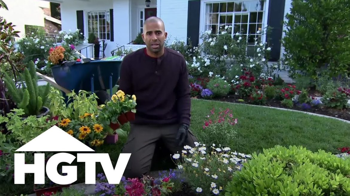 Annuals vs. Perennials | Gardening Tips | HGTV Annuals vs. Perennials | Gardening Tips | HGTV