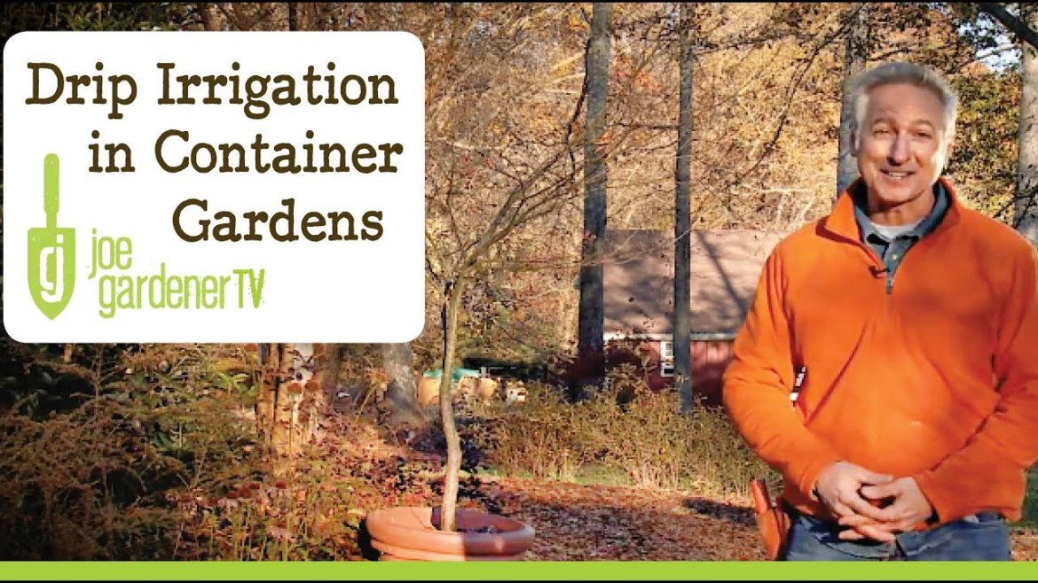 Drip Irrigation Basics – Container Gardening Drip Irrigation Basics - Container Gardening