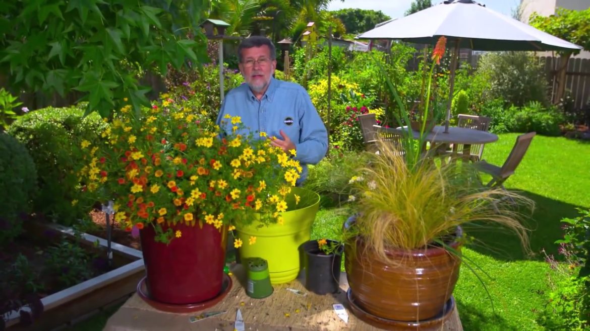 How To Make a Container Garden – Ace Hardware How To Make a Container Garden - Ace Hardware