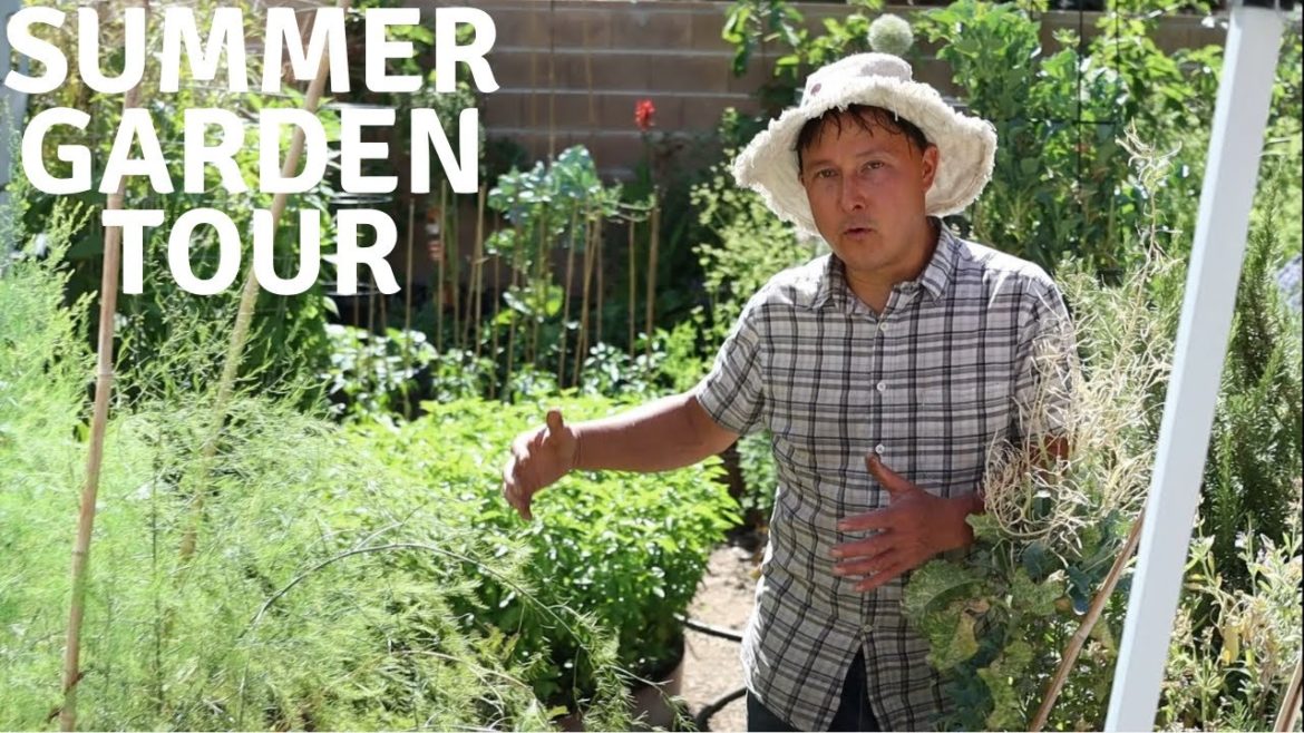 Summer Backyard Vegetable Garden Full Tour June