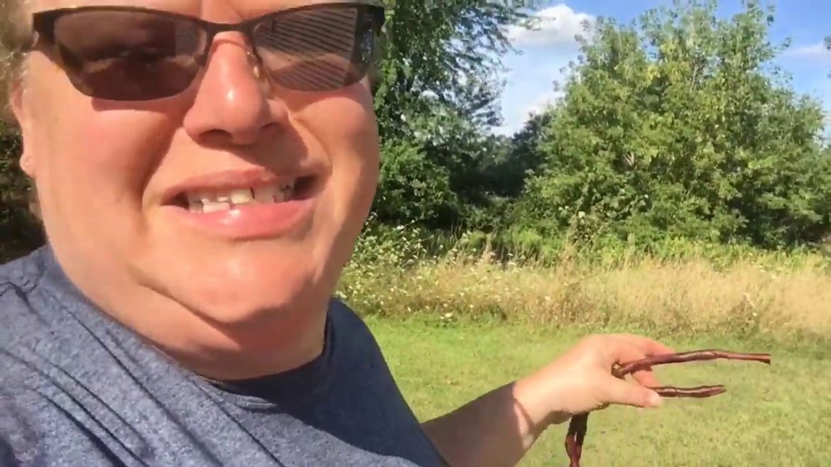 Whats happening? Garden plans and Life Updates.