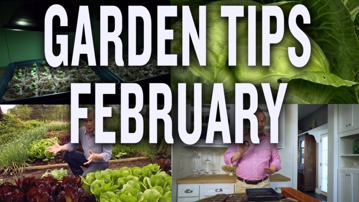 Winter Garden Tips and Projects: P. Allen Smith (February) ❄🌱
