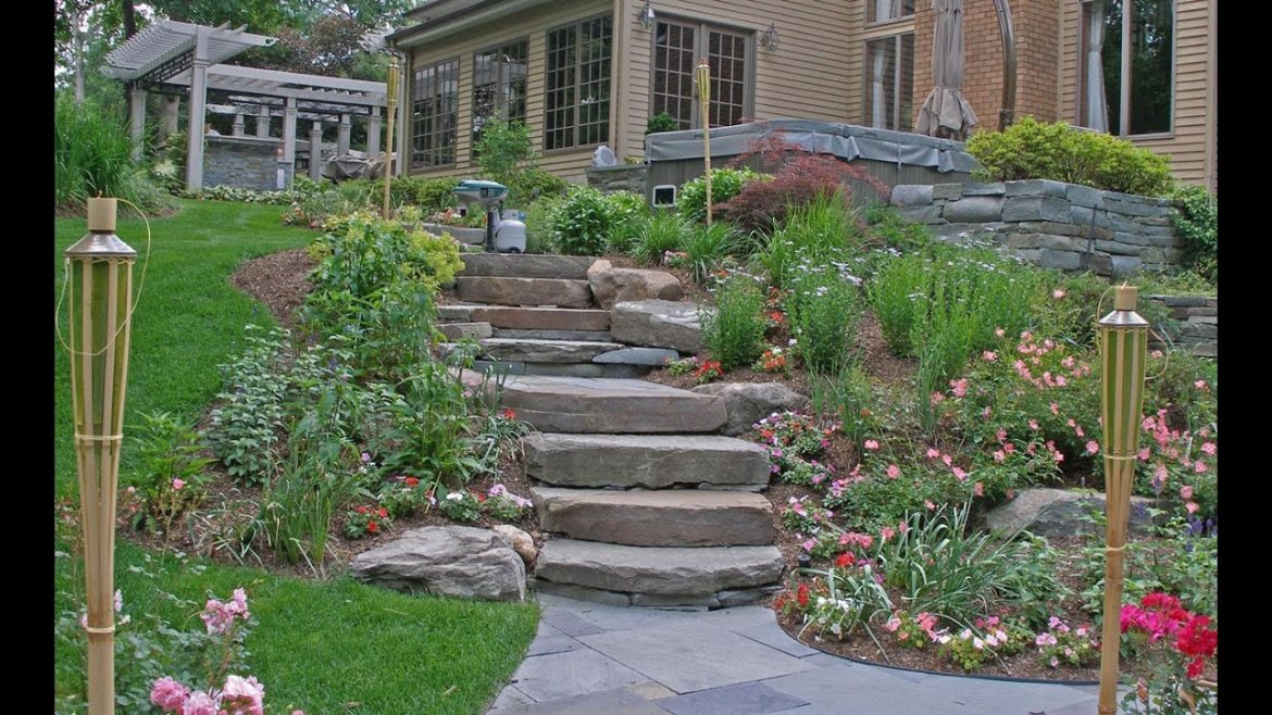 Backyard Landscaping