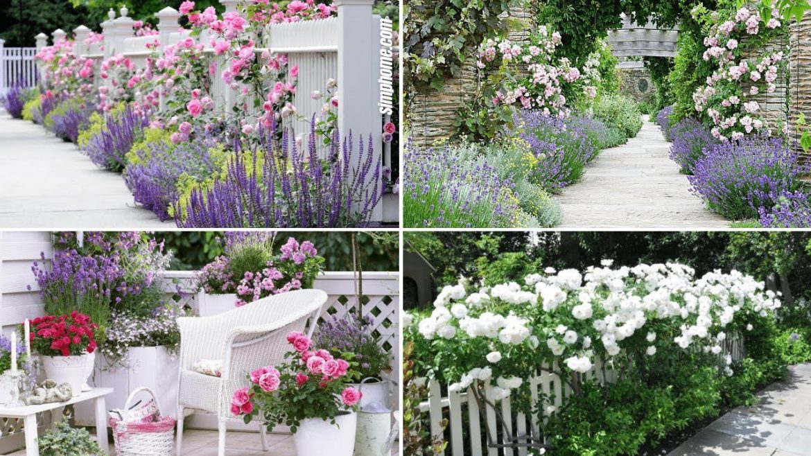 10 Rose Garden Ideas