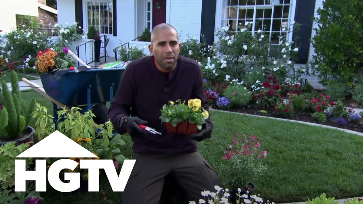 Landscaping Tips: Annuals and Perennials | Gardening Tips | HGTV