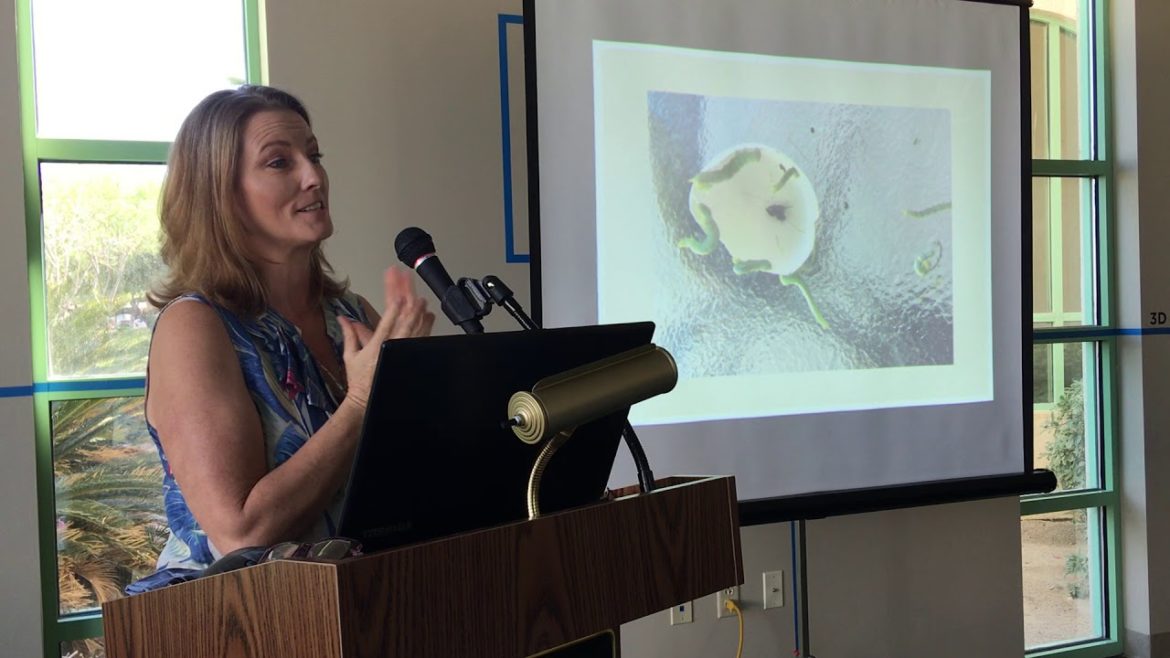 Part 2/6: Edible Gardening with Permaculture Design-La Quinta Library