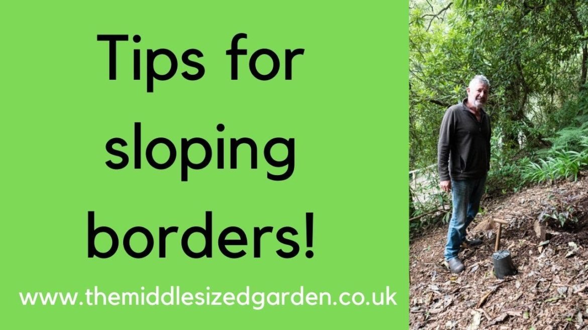 How to plant on a slope (and other great sloping garden tips!) How to plant on a slope (and other great sloping garden tips!)