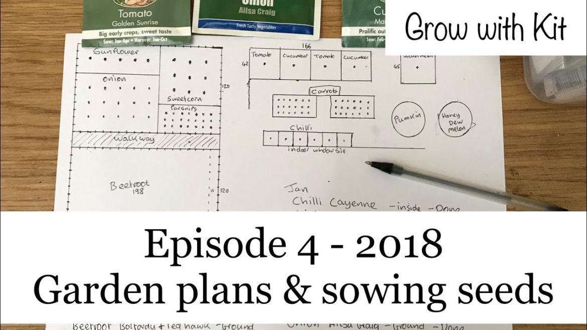 Garden plans & Sowing more seeds - Episode 4 - 27th January 2018