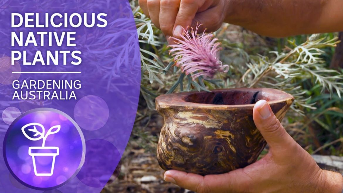 Australian native edible plants Australian native edible plants