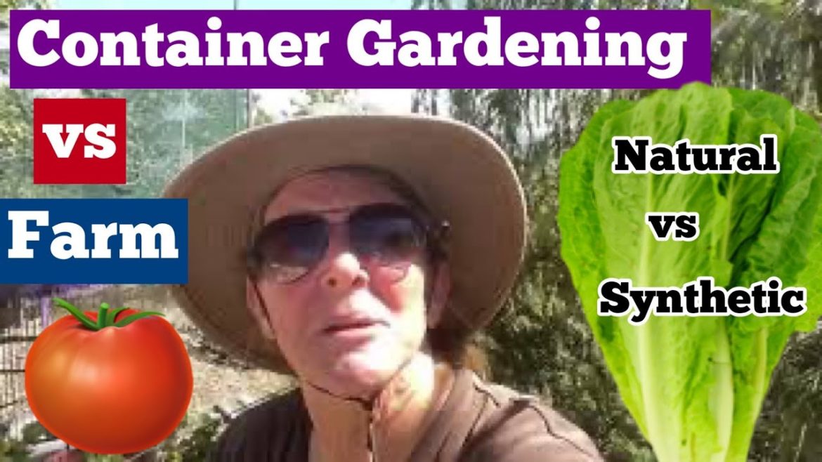 Container Gardening vs Farm, We Can do it Better & Organic Growing Healthy Food on Terrace or Garden Container Gardening vs Farm, We Can do it Better & Organic Growing Healthy Food on Terrace or Garden