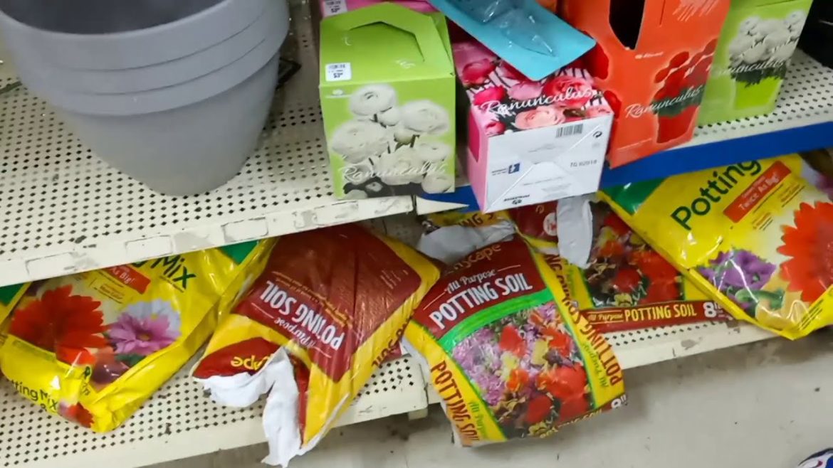 Roses Department Store Looking For Gardening Supplies Come Let's See What We Find Gardening 2021