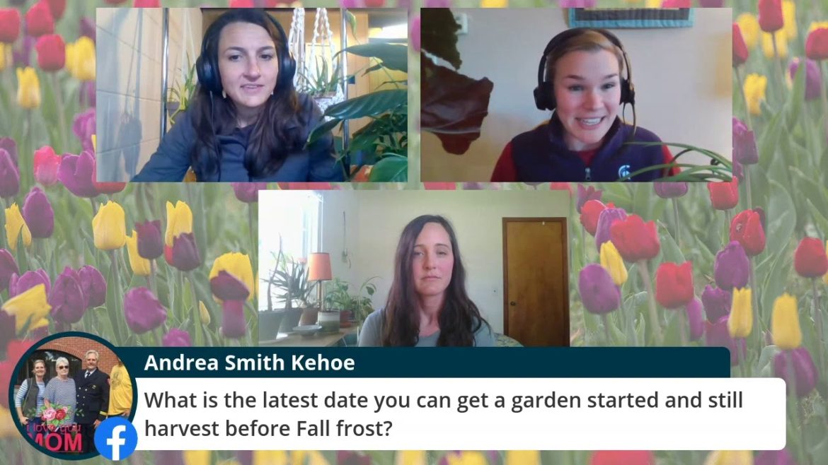 Gardening Tips from Michigan State University Experts