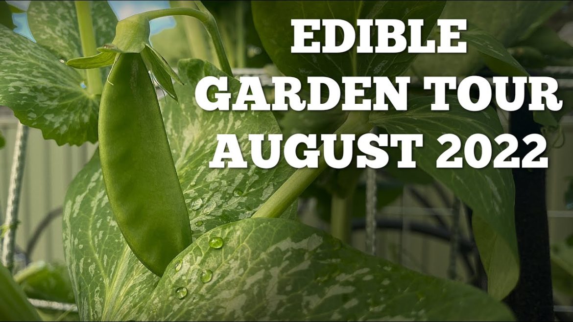 AUGUST 2022 EDIBLE GARDEN TOUR