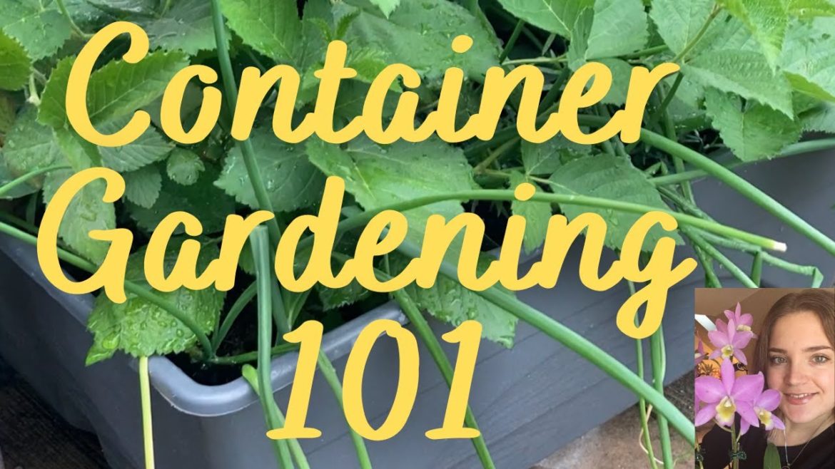 Container Gardening 101 | Pros and Cons of growing in pots