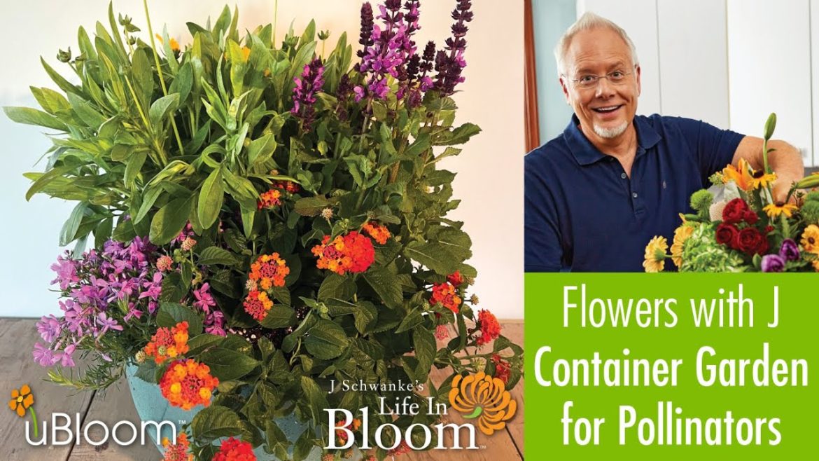 Pollinator Container Garden- LIVE with J
