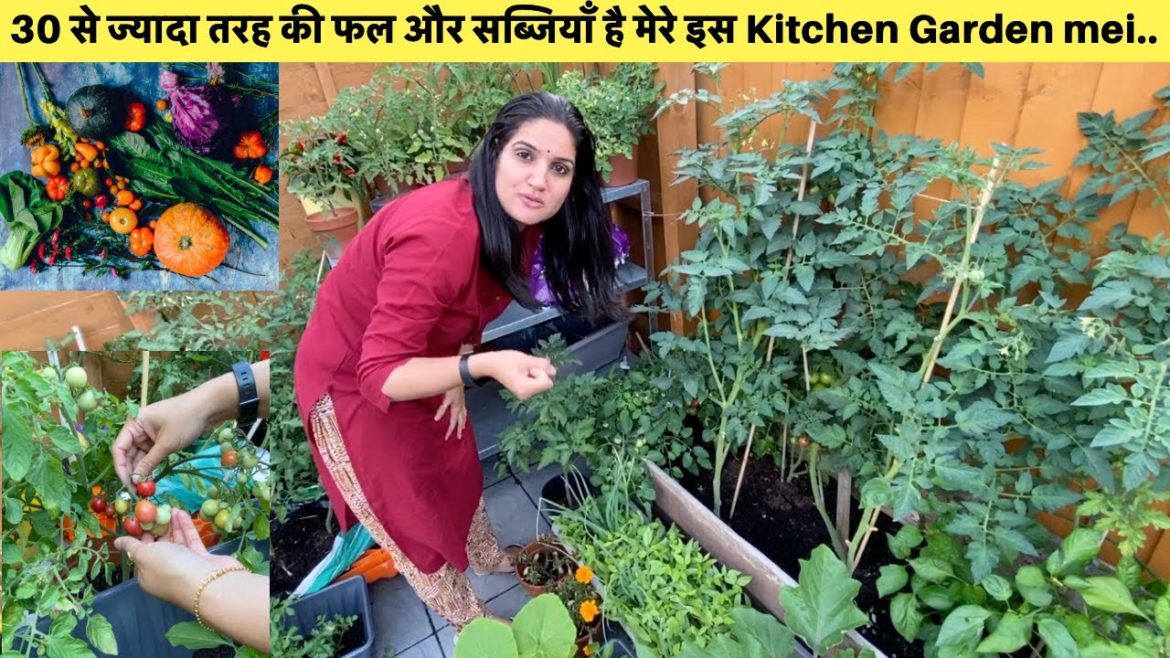 Our Vegetable Garden in England|Small Little Kitchen Garden with lot's of Vegetables|Sangwan Family