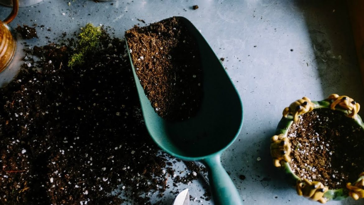 Homegrown | Tips for Starting a Container Garden Homegrown | Tips for Starting a Container Garden