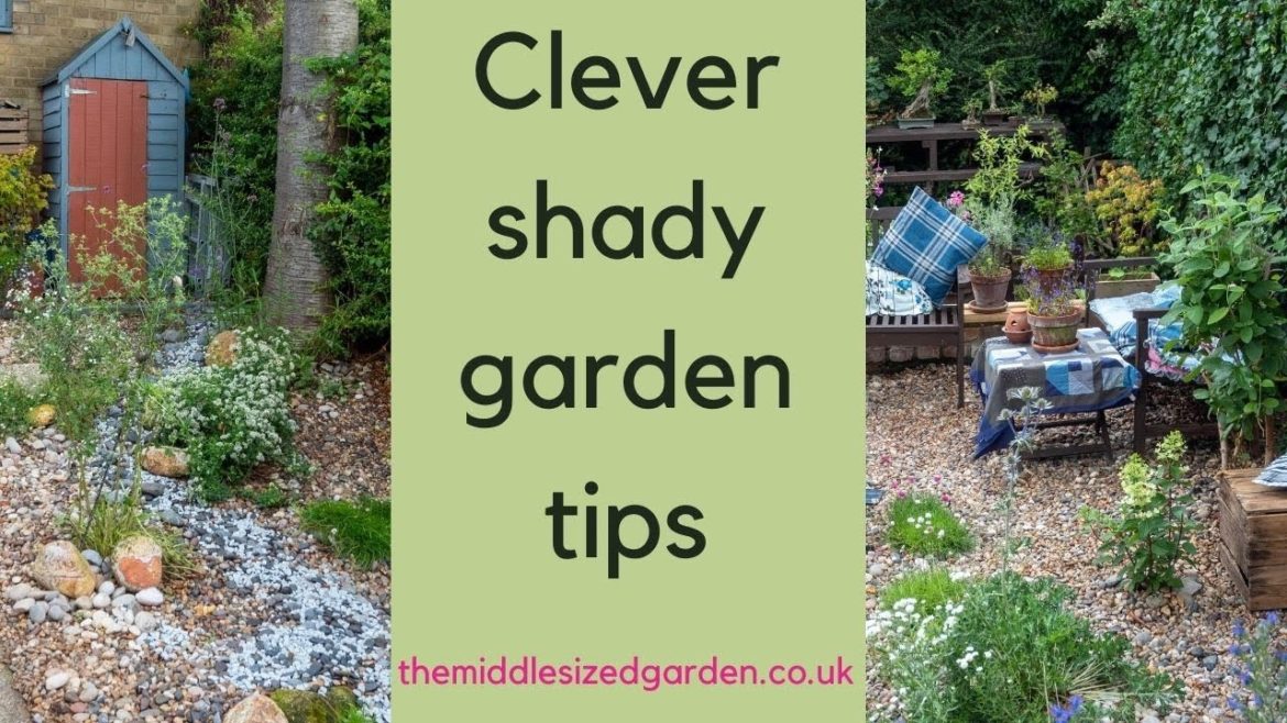 Brilliant shade garden ideas for north facing gardens and borders Brilliant shade garden ideas for north facing gardens and borders