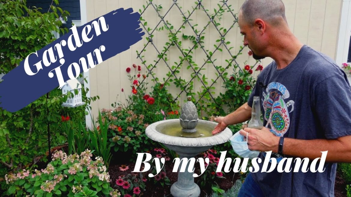 August Small Urban Backyard Garden Tour done BY MY HUSBAND π€¦π»ββοΈππΏ August Small Urban Backyard Garden Tour done BY MY HUSBAND π€¦π»ββοΈππΏ