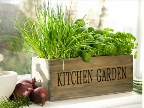 Small indoor herb garden Small indoor herb garden