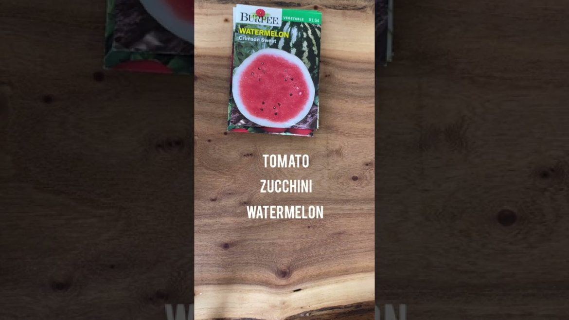 My garden Plans
