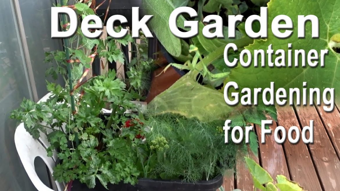 Vegetable Gardening on Deck Patio Container Garden Watermelon Herbs Tomatoes Totes & Pot Plants