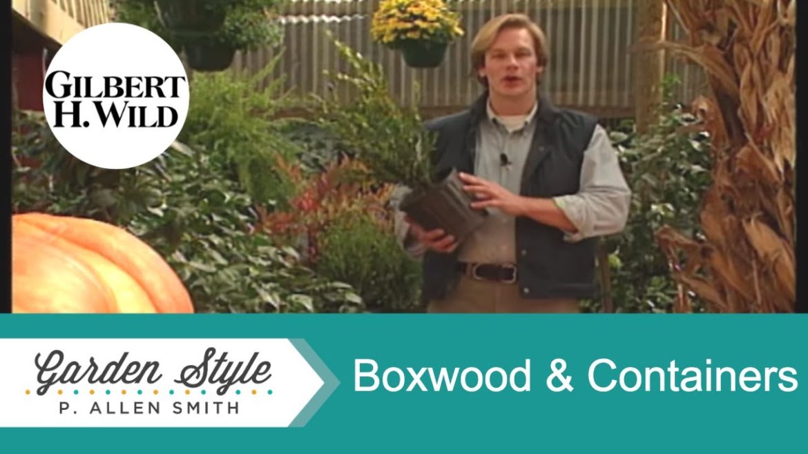 Tips for Planting Boxwood & Container Gardening | Garden Style (524)