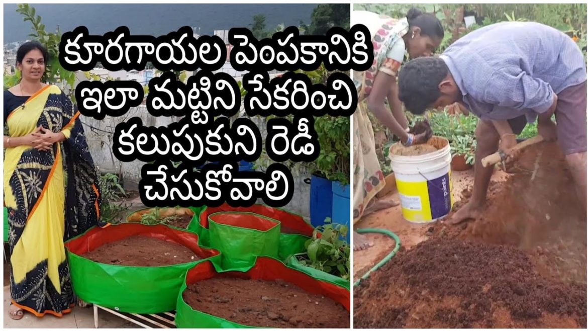 How to collect n mix soil for vegetable gardening?మట్టిని తెచ్చి కలుపుకొని ఇలా సిద్ధం చేసుకోండి. How to collect n mix soil for vegetable gardening?మట్టిని తెచ్చి కలుపుకొని ఇలా సిద్ధం చేసుకోండి.