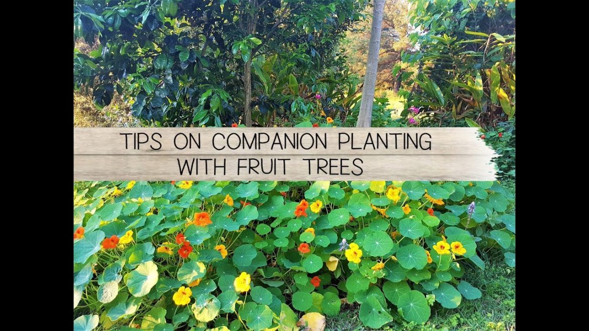 Tips on Companion Planting with Fruit Trees - The Micro Gardener