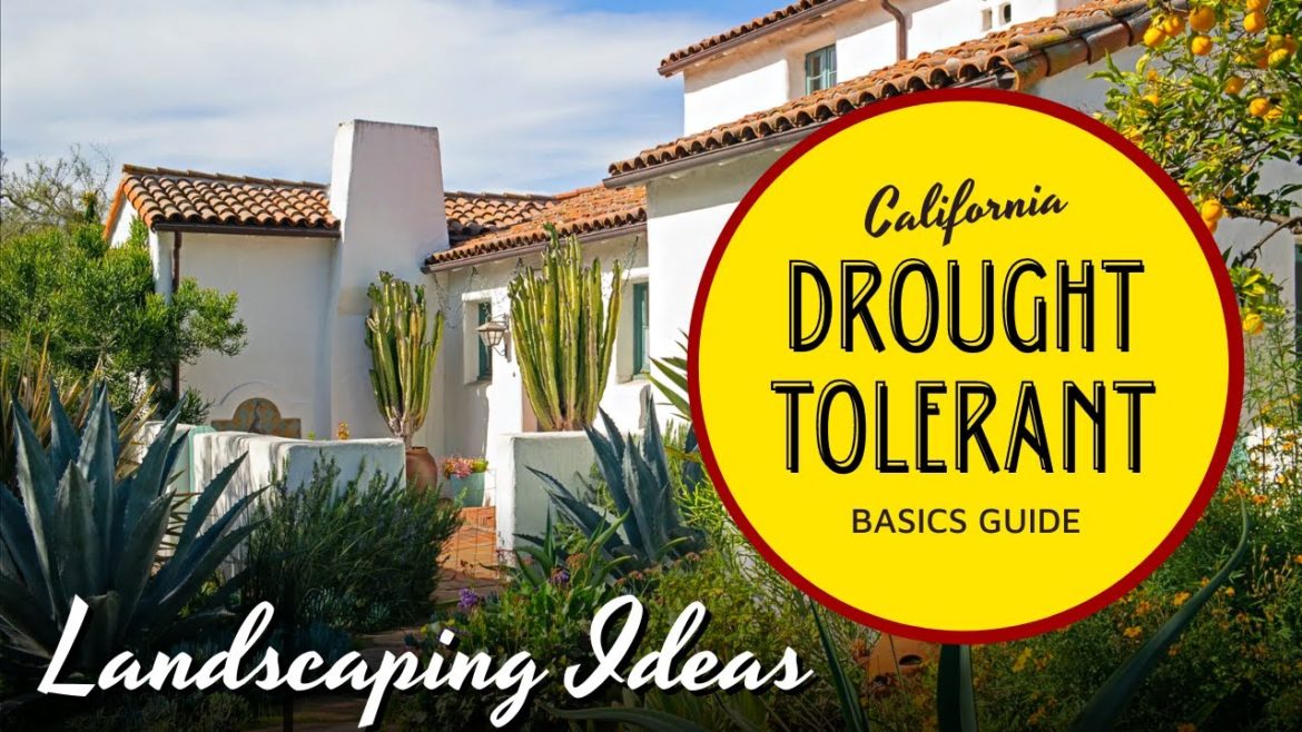 A Beginner's Guide to Drought-Tolerant Landscaping in California 🌤☀️ - Garden Ideas