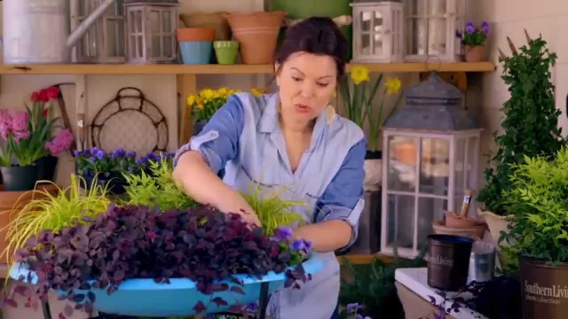 Plant This DIY Container Garden in a Fire Pit – Loropetalum, Nandina and Carex from Southern Living Plant This DIY Container Garden in a Fire Pit - Loropetalum, Nandina and Carex from Southern Living