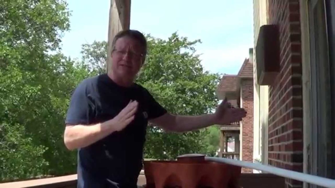 Bird Netting for Container Vegetable Gardening