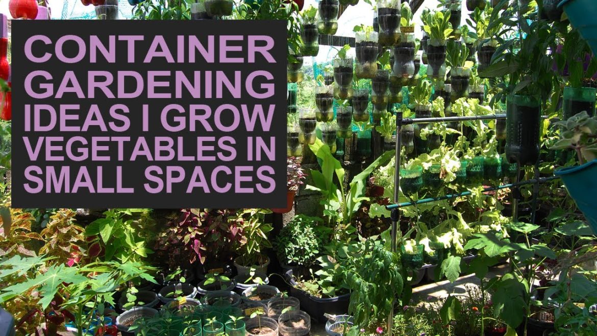 Container Gardening Ideas I Grow Vegetables In Small Spaces I Hanging Garden