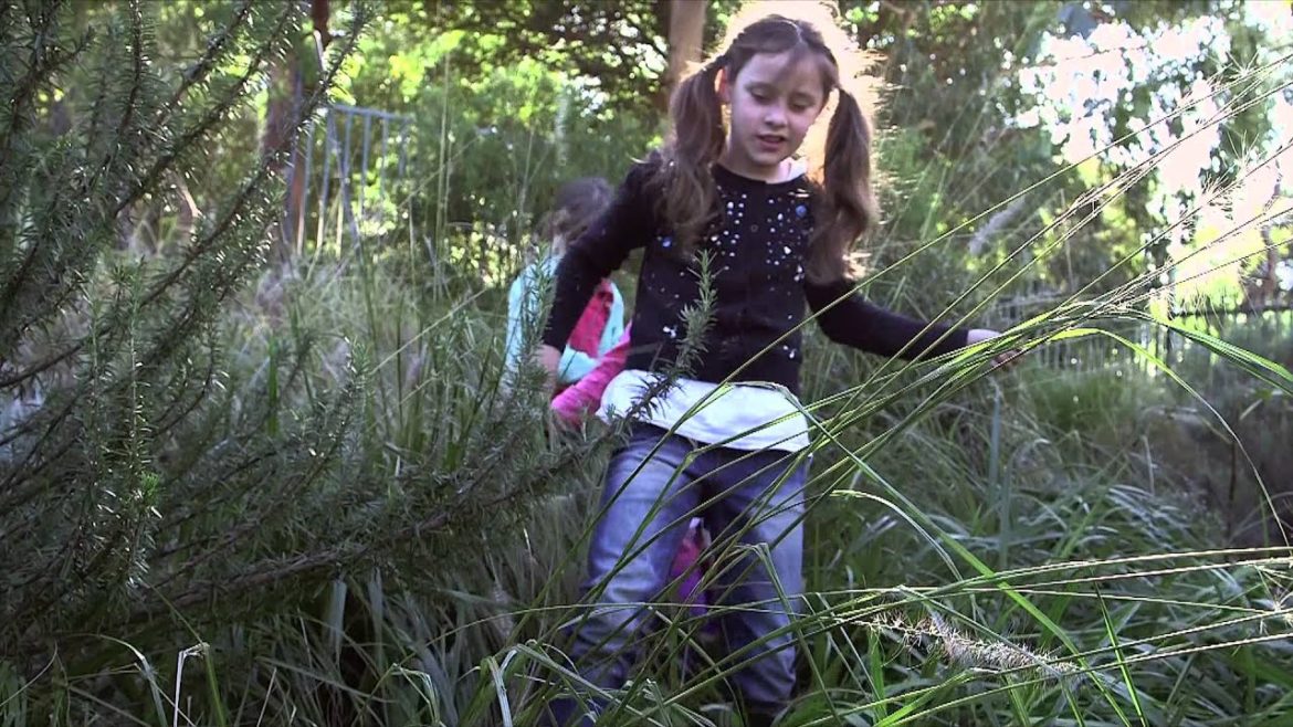 'Where Nature Is Play' - The heartbeat of Edible Kids Gardens