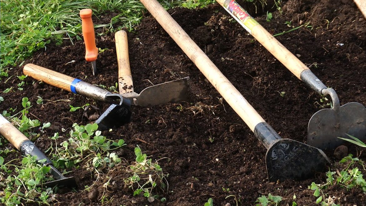 Choosing the Right Garden Tools for Your Vegetable Garden Choosing the Right Garden Tools for Your Vegetable Garden