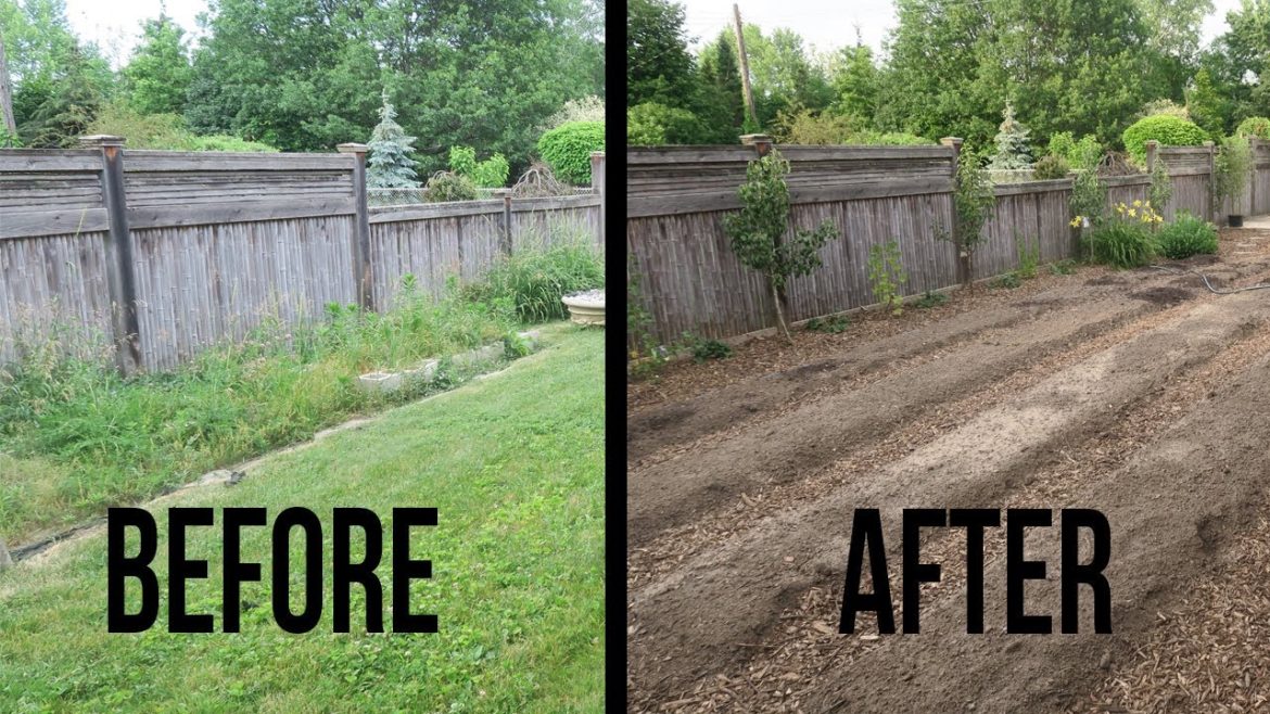 Backyard Edible Garden Transformation Backyard Edible Garden Transformation