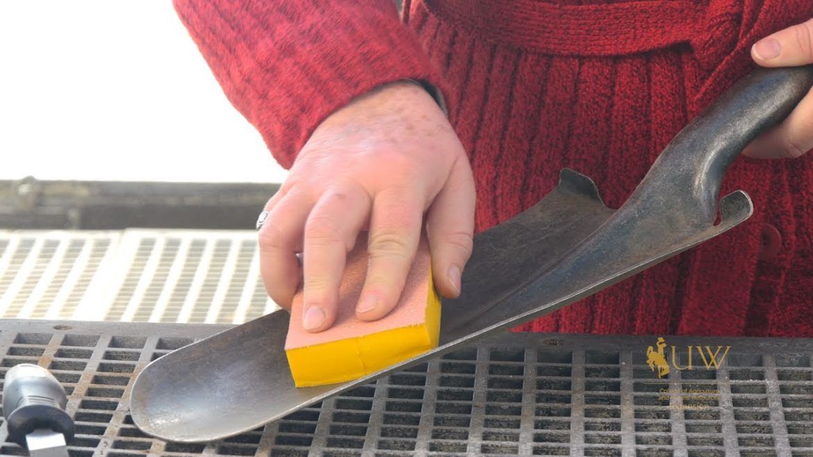 Maintaining Gardening Equipment | From the Ground Up