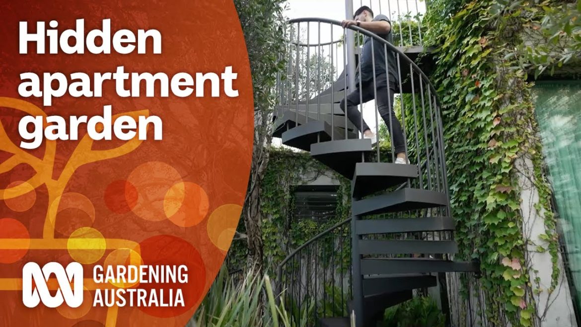 Large architecturally designed native garden in an apartment | Garden Design | Gardening Australia Large architecturally designed native garden in an apartment | Garden Design | Gardening Australia