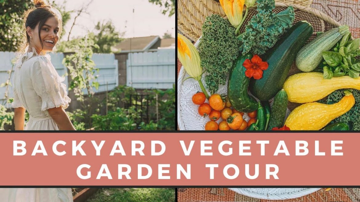 Backyard Vegetable Garden Tour | Gardening Tips Backyard Vegetable Garden Tour | Gardening Tips