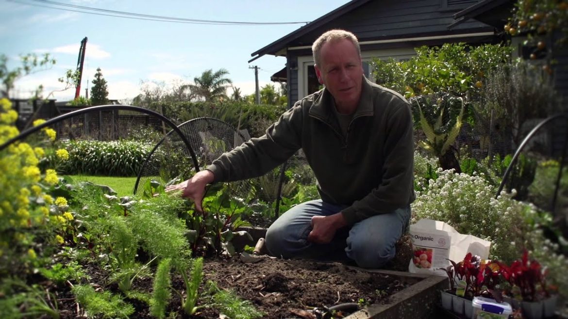Growing Beetroot & Preparing your Garden Bed for Planting | Organic Edible Garden