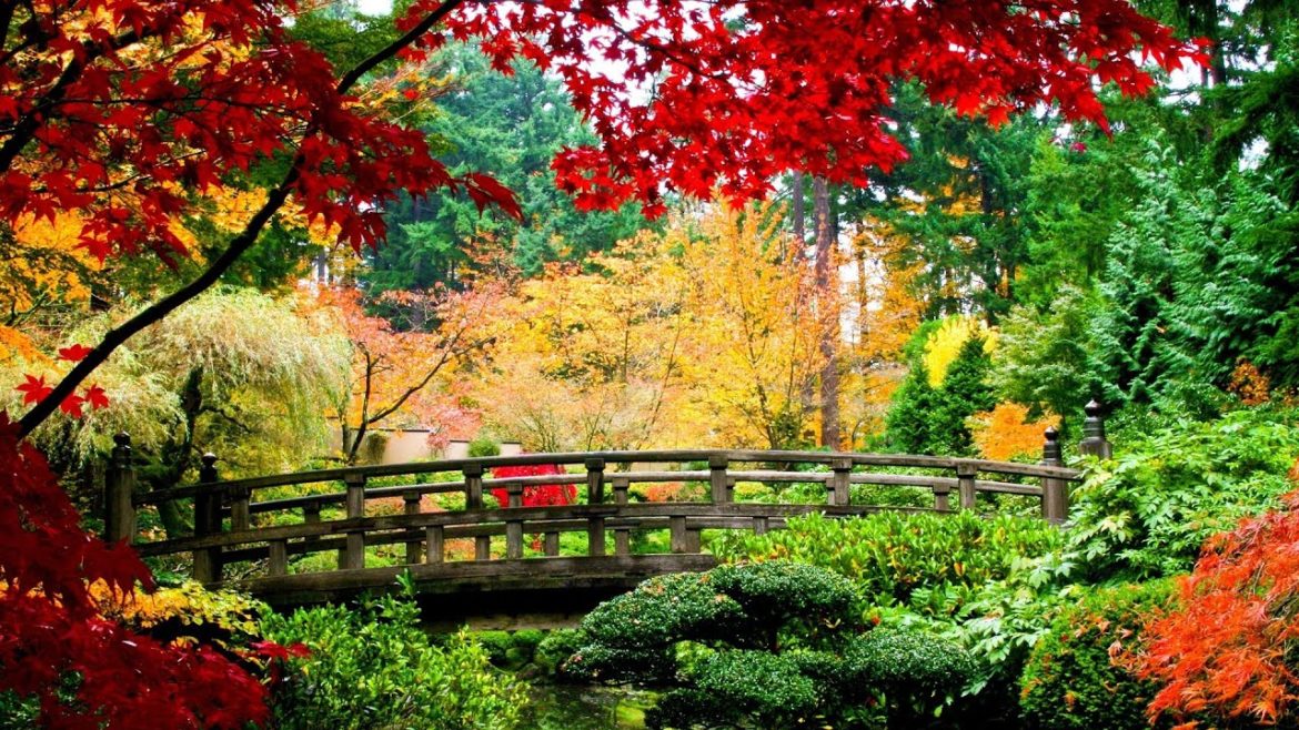 Japanese Garden | Incredible Japanese-style Garden | Incredible Design
