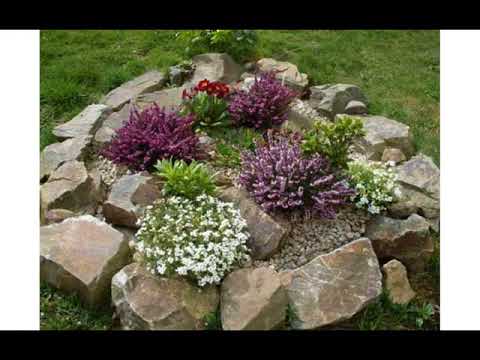 Small garden rocks Small garden rocks