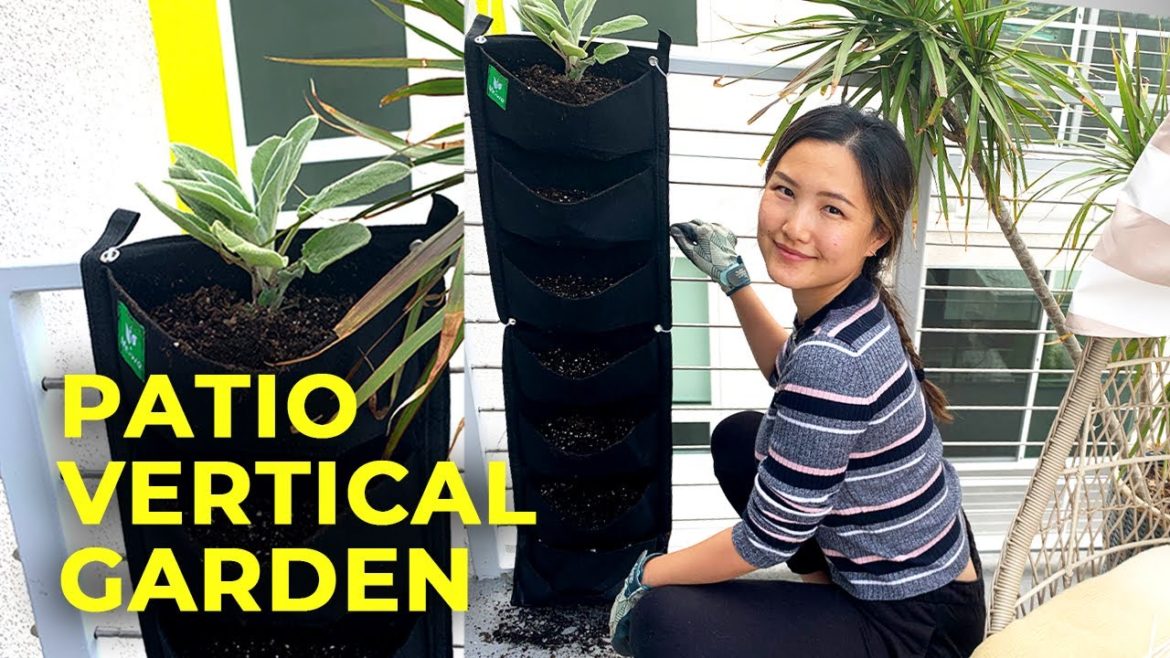 Turn My Apartment Patio into a Tiny Vertical GARDEN! | Container Gardening from Seeds