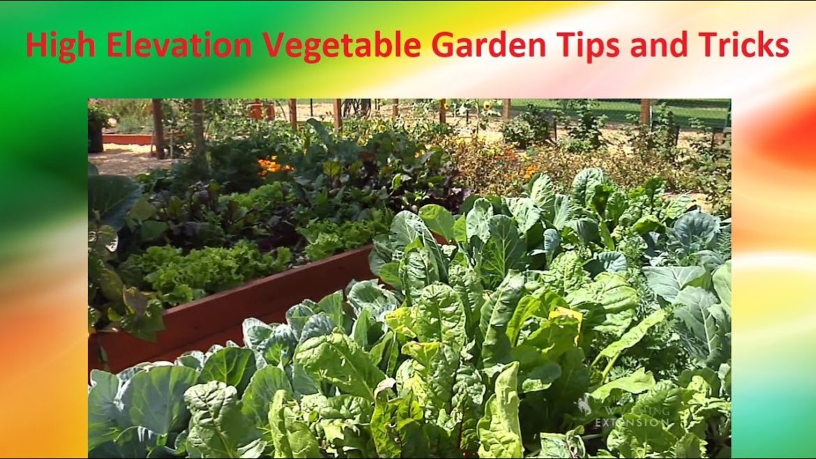 High Elevation Vegetable Garden Tips and Tricks High Elevation Vegetable Garden Tips and Tricks