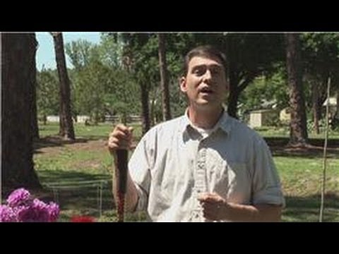 Beginners' Gardening Tips : The Best Garden Supplies Beginners' Gardening Tips : The Best Garden Supplies